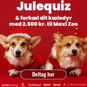 Julequiz og vind et gavekort på 2.500 kr. til Maxi Zoo