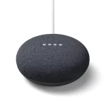 Google Home mini sort