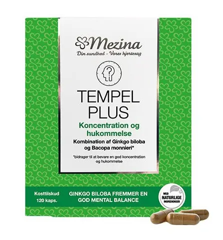 Tempel Plus fra Mezina