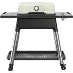 Everdure Gasgrill E2G2S Force