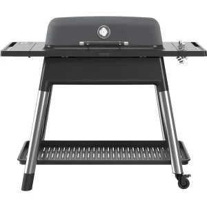 Everdure Gasgrill E3G2G Furnac