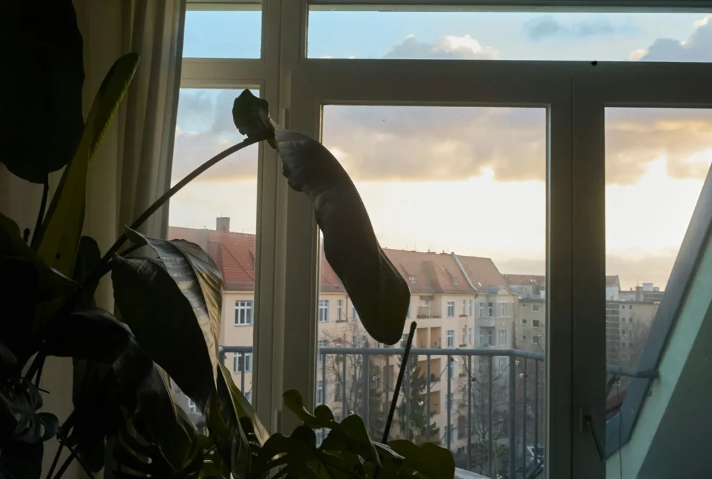 De 7 Bedste Robot Vinduesvaskere i 2025