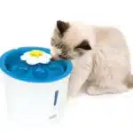 Catit Senses