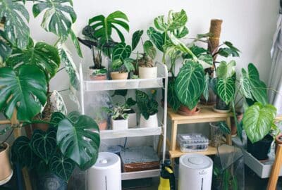 Hvor skal en luftrenser stå Undgå disse klassiske fejl