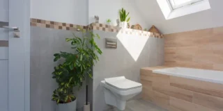 Douchetoilet
